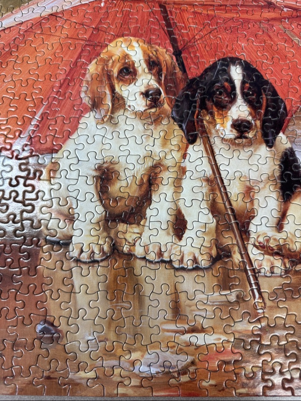 Guild 550-Piece Puppies with Umbrella Jigsaw Puzzle - Orange/Brown - Picture 7 of 10